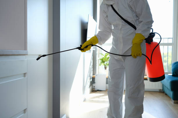 Real Estate Pest Inspections